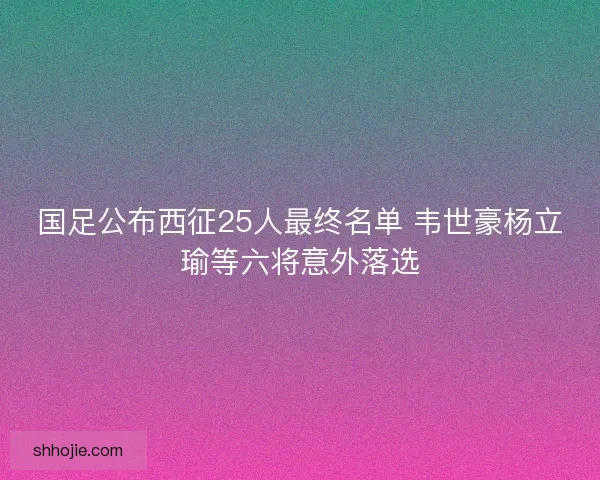 国足公布西征25人最终名单 韦世豪杨立瑜等六将意外落选
